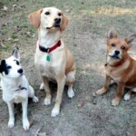 Listening to the sermon.