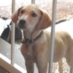 I used to be able to walk right through this steel door!