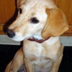 I love to hear John play the piano!