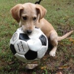 I love my volley ball!